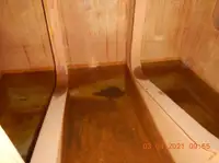 ଟୋବୋଟ୍ ବିକ୍ରୟ ପାଇଁ