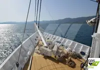 କ୍ରୁଜ୍ ଜାହାଜ ବିକ୍ରୟ ପାଇଁ