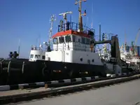 ଟୋବୋଟ୍ ବିକ୍ରୟ ପାଇଁ