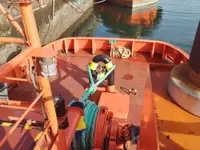 ଟୋବୋଟ୍ ବିକ୍ରୟ ପାଇଁ