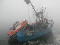 ପର୍ସ ସେନେର ବିକ୍ରୟ ପାଇଁ