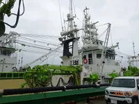 ପର୍ସ ସେନେର ବିକ୍ରୟ ପାଇଁ