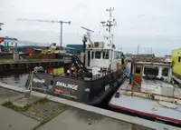 ୱର୍କବୋଟ୍ ବିକ୍ରୟ ପାଇଁ