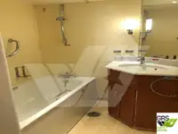 କ୍ରୁଜ୍ ଜାହାଜ ବିକ୍ରୟ ପାଇଁ