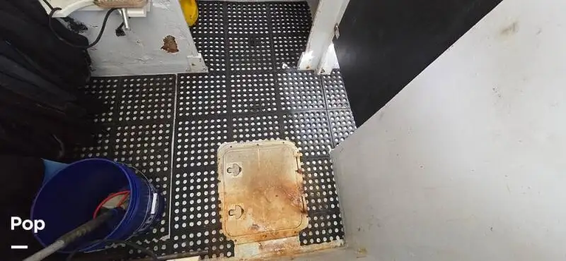 ଡାଇଭ୍ ସପୋର୍ଟ ବିକ୍ରୟ ପାଇଁ