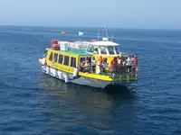 ଫେରୀ ଜାହାଜ ବିକ୍ରୟ ପାଇଁ