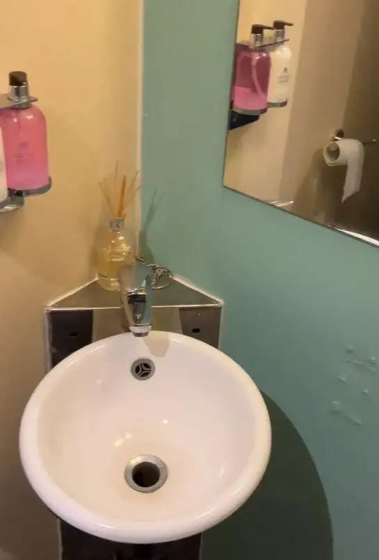 କ୍ରୁଜ୍ଫେରୀ ବିକ୍ରୟ ପାଇଁ