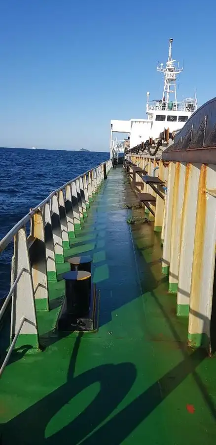 ବଲ୍କ କ୍ୟାରିୟର ବିକ୍ରୟ ପାଇଁ