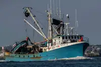 Purse seiner ବିକ୍ରୟ ପାଇଁ