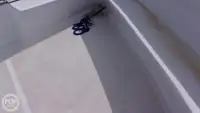 ଡାଇଭ୍ ସପୋର୍ଟ ବିକ୍ରୟ ପାଇଁ