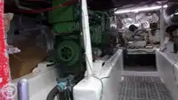 ଡାଇଭ୍ ସପୋର୍ଟ ବିକ୍ରୟ ପାଇଁ