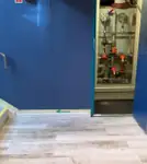 କ୍ରୁଜ୍‌ଫେରୀ ବିକ୍ରୟ ପାଇଁ