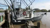 Trawler ବିକ୍ରୟ ପାଇଁ