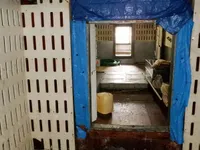 ଲଙ୍ଗଲାଇନର ବିକ୍ରୟ ପାଇଁ