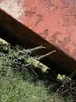 ବାର୍ଜ୍ ବିକ୍ରୟ ପାଇଁ