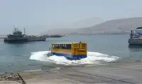 ଆମ୍ଫିବିୟସ୍ ବିକ୍ରୟ ପାଇଁ