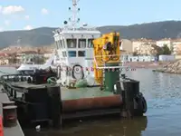 ଟୋବୋଟ୍ ବିକ୍ରୟ ପାଇଁ