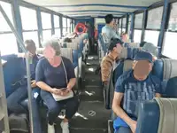 ଆମ୍ଫିବିୟସ୍ ବିକ୍ରୟ ପାଇଁ