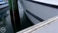 ଡାଇଭ୍ ସପୋର୍ଟ ବିକ୍ରୟ ପାଇଁ