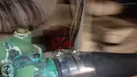 ଡାଇଭ୍ ସପୋର୍ଟ ବିକ୍ରୟ ପାଇଁ