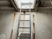 ଲଙ୍ଗଲାଇନର ବିକ୍ରୟ ପାଇଁ