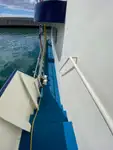 ଟୋବୋଟ୍ ବିକ୍ରୟ ପାଇଁ