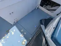 କ୍ରୁଜ୍‌ଫେରୀ ବିକ୍ରୟ ପାଇଁ