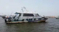 ପାଇଲଟ୍ ବୋଟ୍ ବିକ୍ରୟ ପାଇଁ