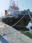ଟୋବୋଟ୍ ବିକ୍ରୟ ପାଇଁ