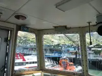 ଟୋବୋଟ୍ ବିକ୍ରୟ ପାଇଁ