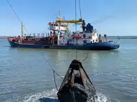 ଡ୍ରେଜର ବିକ୍ରୟ ପାଇଁ