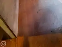 ଫେରୀ ଜାହାଜ ବିକ୍ରୟ ପାଇଁ