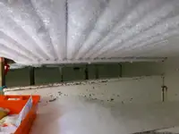 ଟ୍ରଲର ବିକ୍ରୟ ପାଇଁ