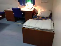 ଟୋବୋଟ୍ ବିକ୍ରୟ ପାଇଁ