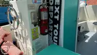 କ୍ରୁଜ୍ ଜାହାଜ ବିକ୍ରୟ ପାଇଁ