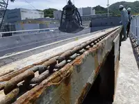 ବଲ୍କ କ୍ୟାରିୟର ବିକ୍ରୟ ପାଇଁ
