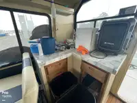କ୍ରୁଜ୍ ଜାହାଜ ବିକ୍ରୟ ପାଇଁ