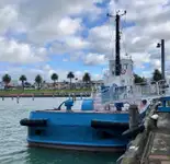 ଟୋବୋଟ୍ ବିକ୍ରୟ ପାଇଁ