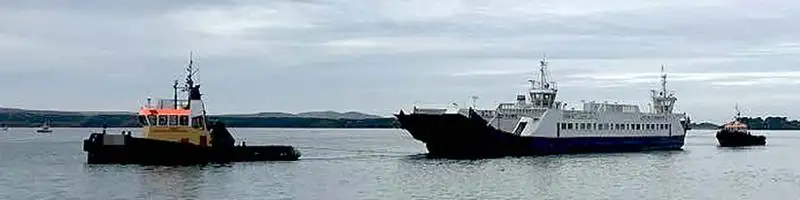 ଟୋବୋଟ୍ ବିକ୍ରୟ ପାଇଁ