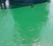 ବଲ୍କ କ୍ୟାରିୟର ବିକ୍ରୟ ପାଇଁ