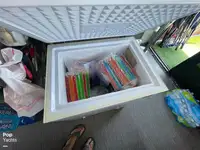 ପଣ୍ଟୁନ୍ ବିକ୍ରୟ ପାଇଁ