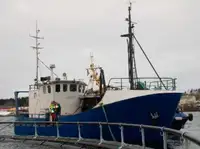 Trawler ବିକ୍ରୟ ପାଇଁ
