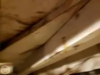 ଫେରୀ ଜାହାଜ ବିକ୍ରୟ ପାଇଁ