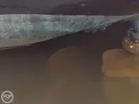 ଟୋବୋଟ୍ ବିକ୍ରୟ ପାଇଁ
