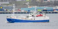 Purse seiner ବିକ୍ରୟ ପାଇଁ