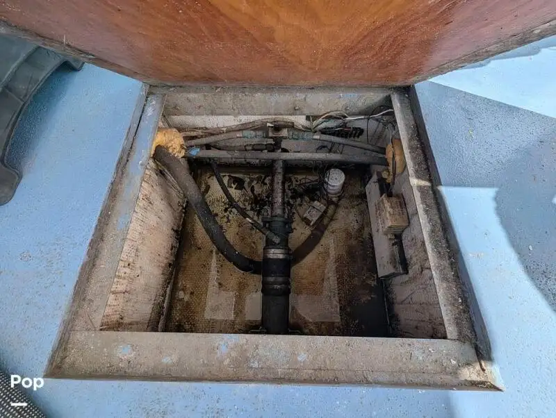 କ୍ରୁଜ୍ଫେରୀ ବିକ୍ରୟ ପାଇଁ