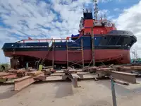 ଟୋବୋଟ୍ ବିକ୍ରୟ ପାଇଁ
