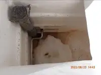 ପର୍ସ ସେନେର ବିକ୍ରୟ ପାଇଁ