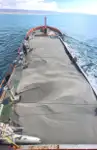 କଣ୍ଟେନର ଜାହାଜ ବିକ୍ରୟ ପାଇଁ