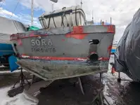 କାର୍ଯ୍ୟକାରୀ ନୌକା ବିକ୍ରୟ ପାଇଁ